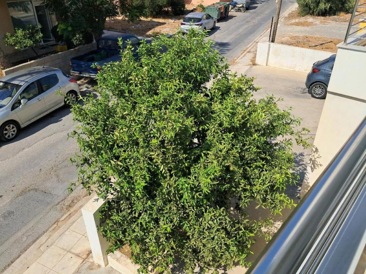 Sweet Sunny Home Ιεράπετρα Εξωτερικό φωτογραφία